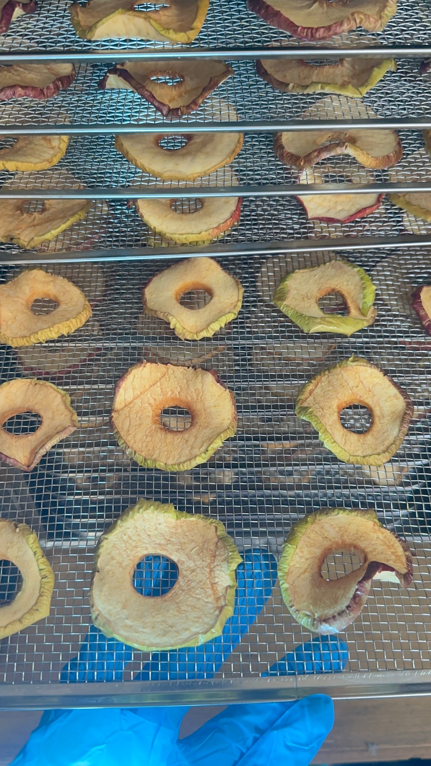 Dehydrated Apples