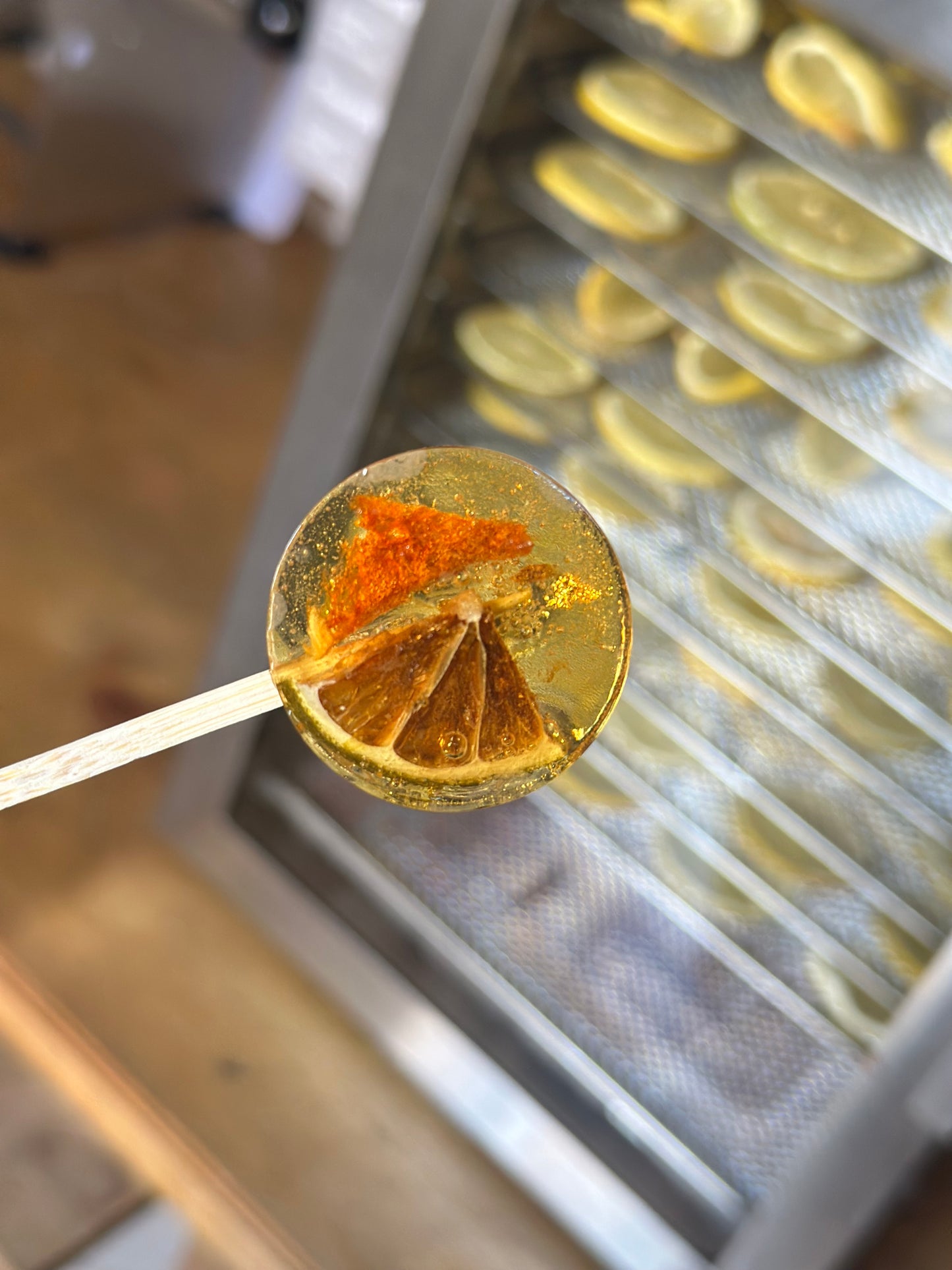 10 Piece Dehydrated Fruit Lollipops