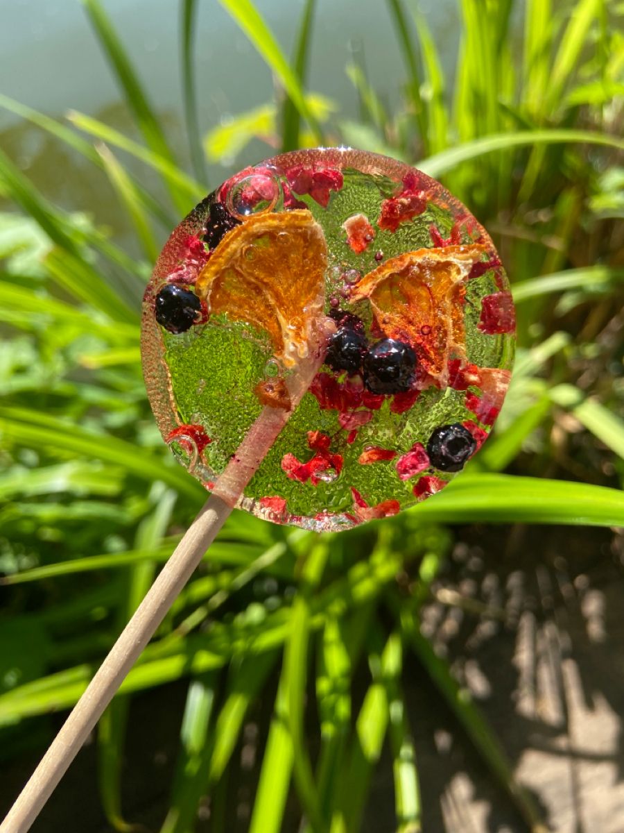 10 Piece Dehydrated Fruit Lollipops