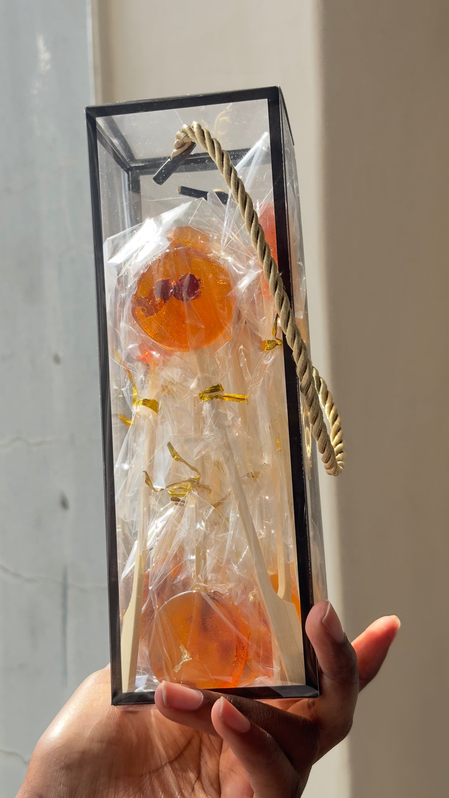 10 Piece Dehydrated Fruit Lollipops