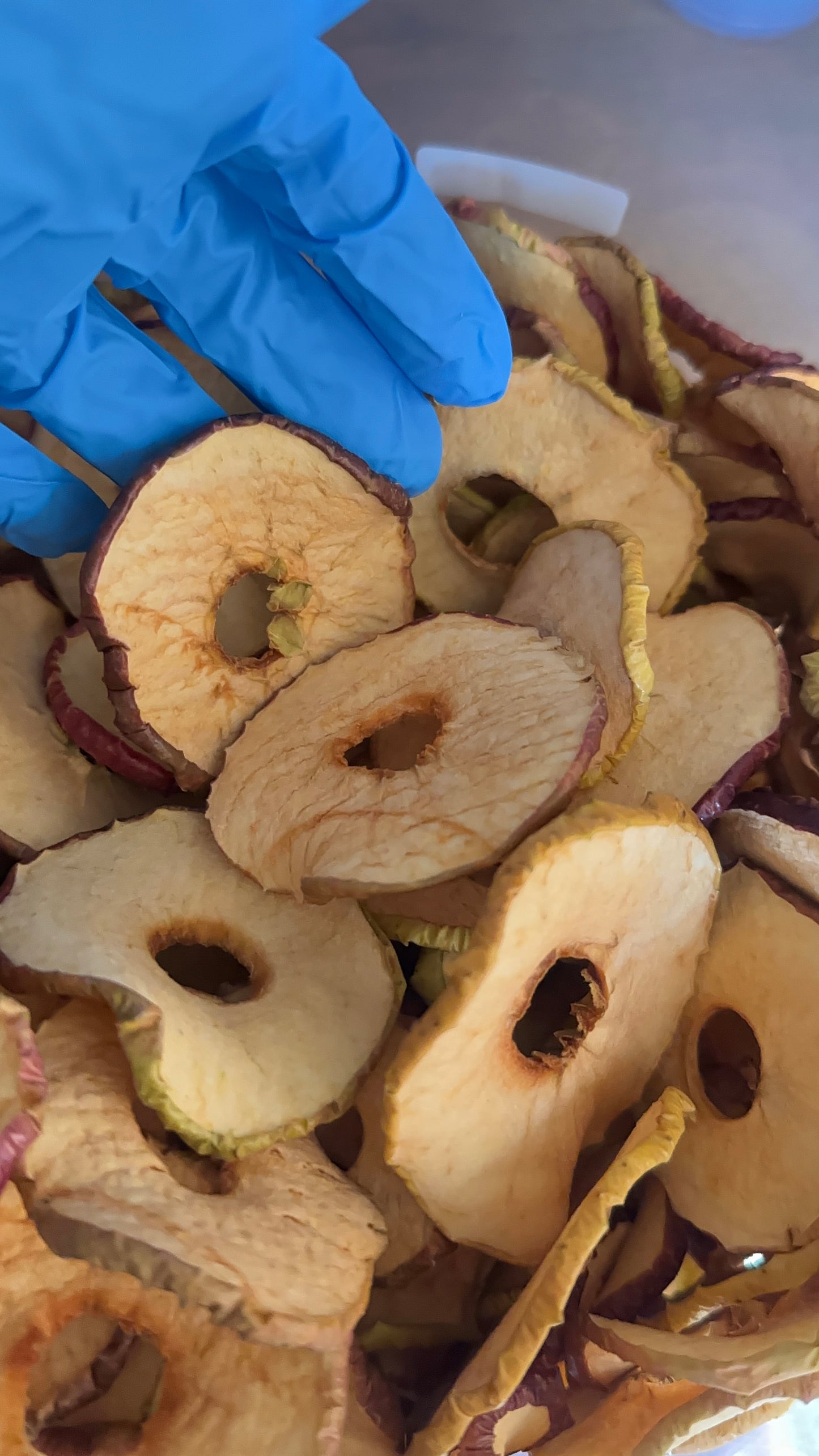 Dehydrated Apples