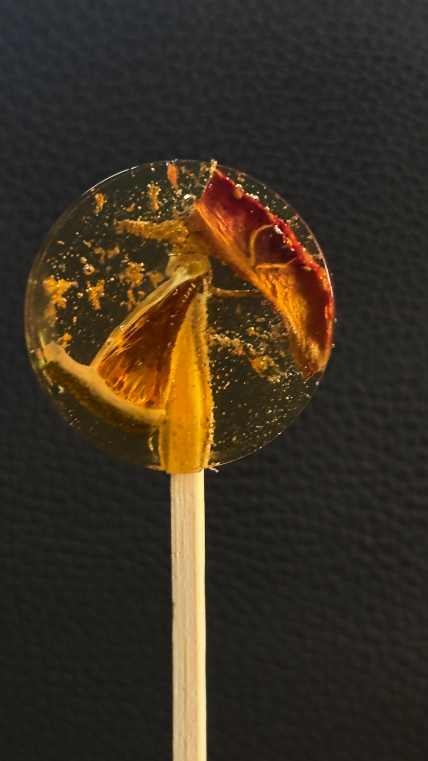 10 Piece Dehydrated Fruit Lollipops