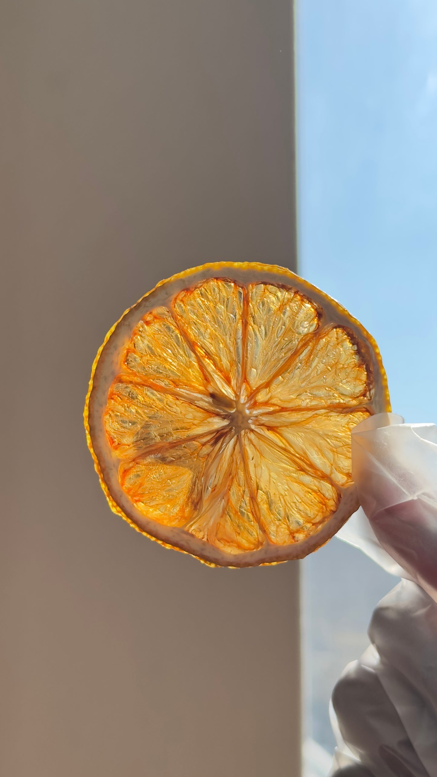 150 Dehydrated Lemons Wheels