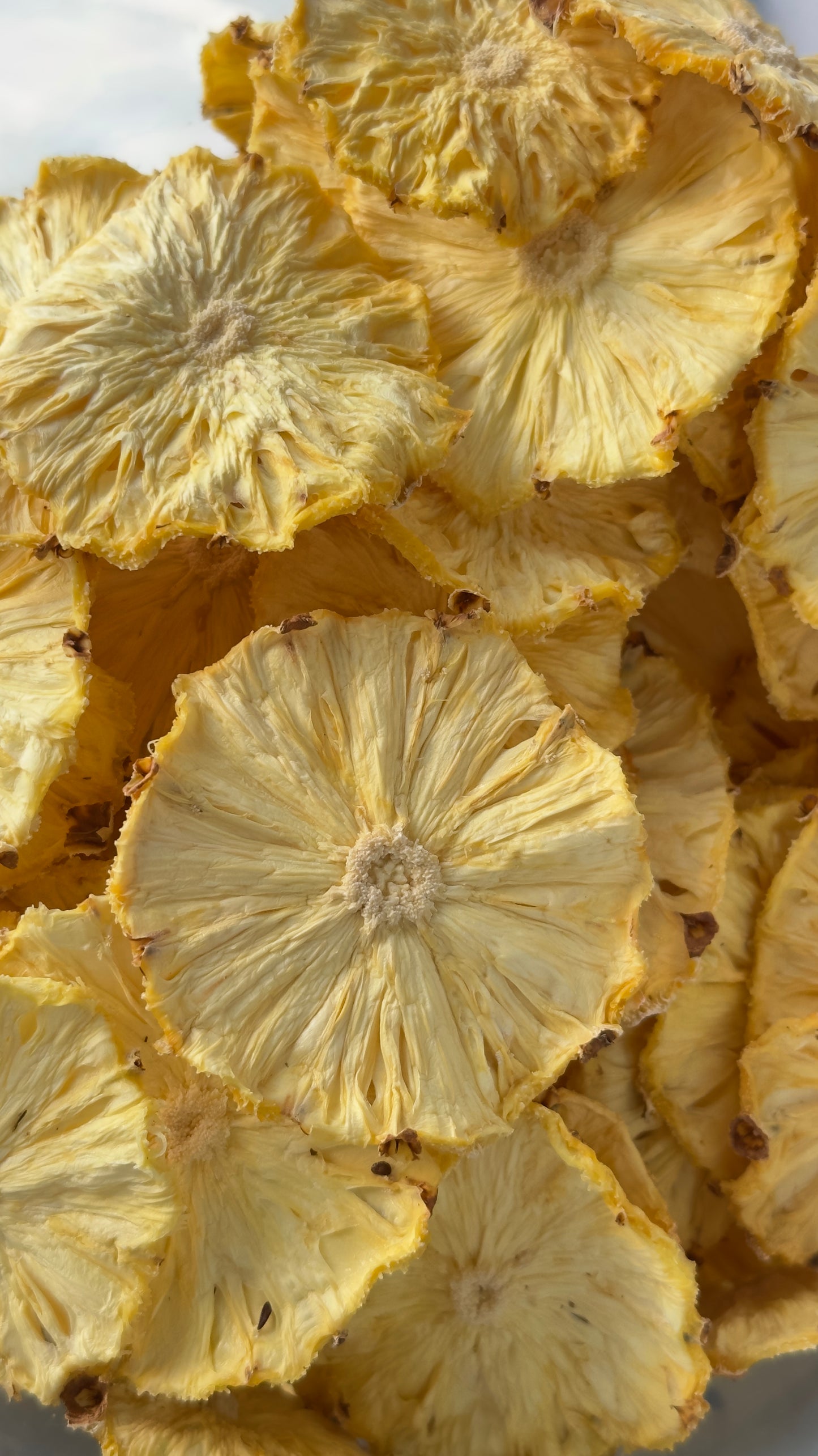 120 Bulk Dehydrated Pineapples Wheels