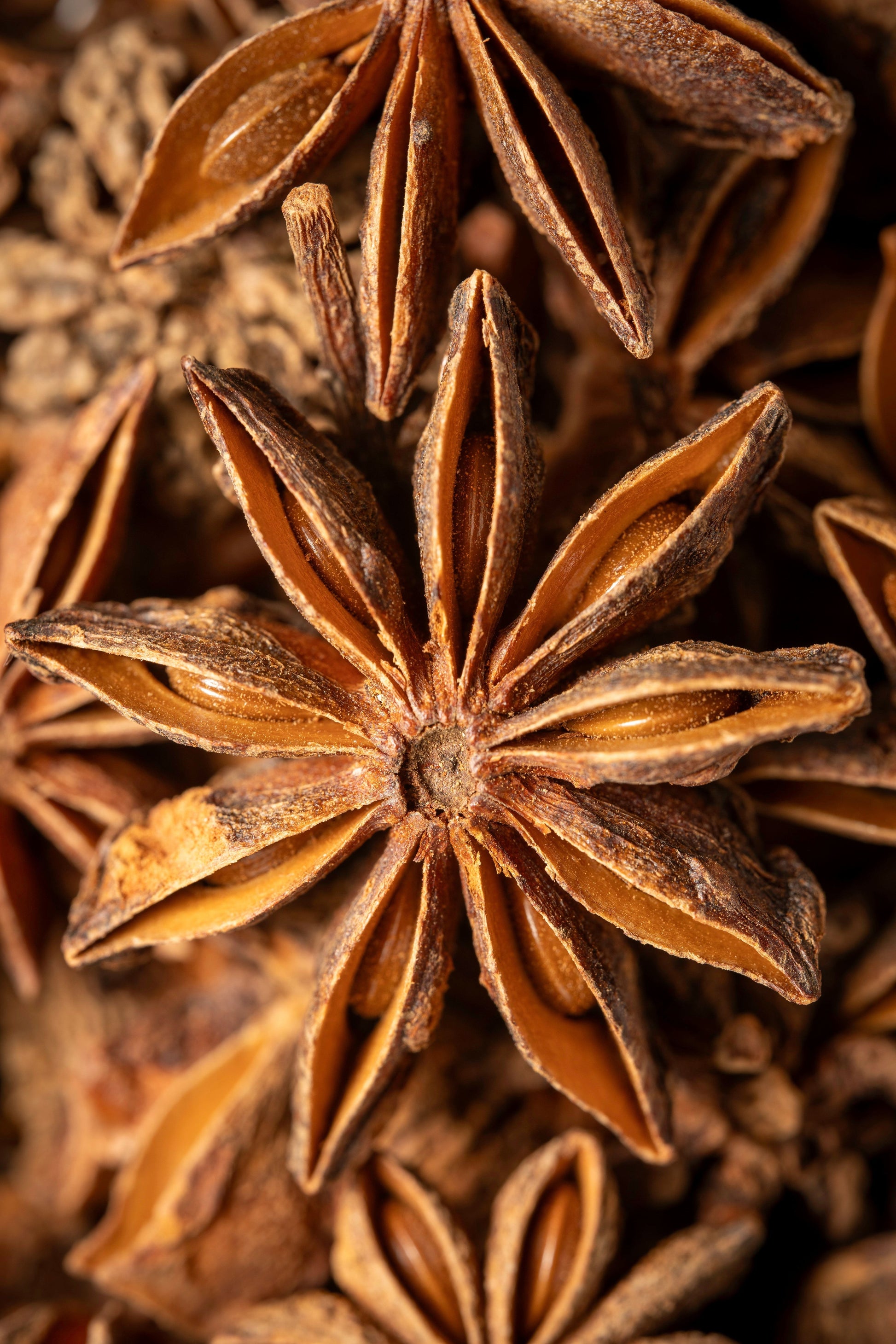 Close-up of whole star anise spices with brown dried petals, filling the frame.